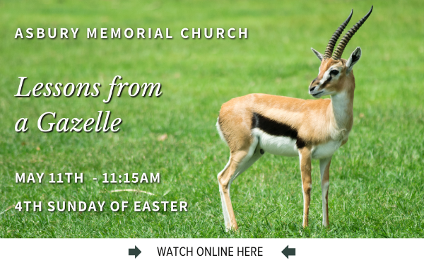 The Online worship service from Asbury Memorial Church, Savannah, GA